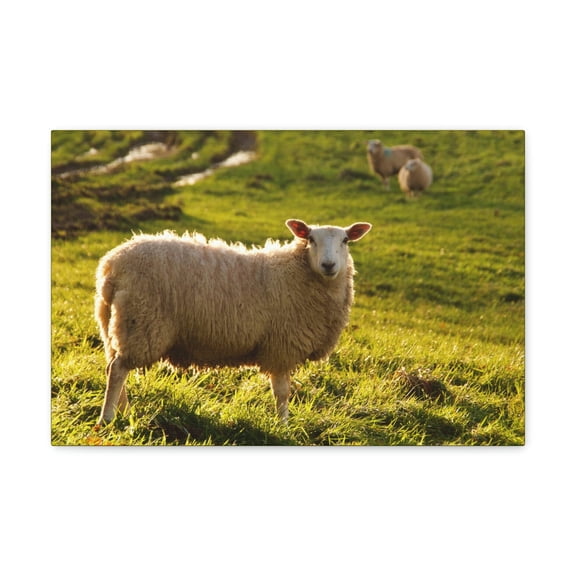 Majestic Sheep Art Majestic Sheep Print Animal Wall Art Wildlife Canvas Prints Wall Art Ready to Hang Unframed
