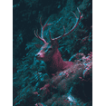 thumbnail image 1 of Majestic Stag Forest Canvas Print, Suitable for Living Room, Bedroom, Office, Dining Room, Hallway Decor, 1 of 8