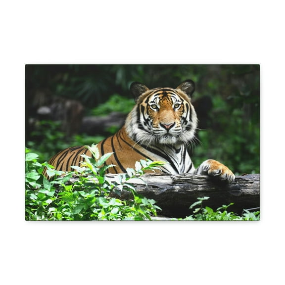 Majestic Tiger Art Majestic Tiger Print Animal Wall Art Wildlife Canvas Prints Wall Art Ready to Hang Unframed