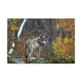 thumbnail image 1 of Majestic Wolf Art Majestic Wolf Print Animal Wall Art Wildlife Canvas Prints Wall Art Ready to Hang Unframed, 1 of 18
