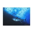 thumbnail image 1 of Majestic Yellow Finned Tuna With Others in the Background Print Animal Wall Art Wildlife Canvas Prints Wall Art Ready to Hang Unframed, 1 of 18