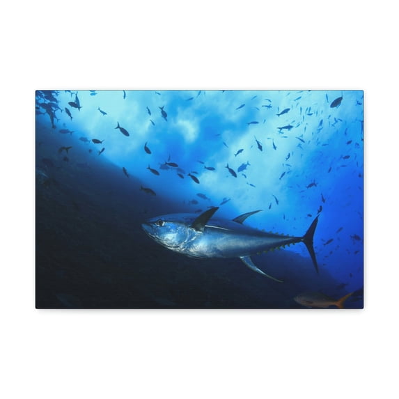 Majestic Yellow Finned Tuna With Others in the Background Print Animal Wall Art Wildlife Canvas Prints Wall Art Ready to Hang Unframed