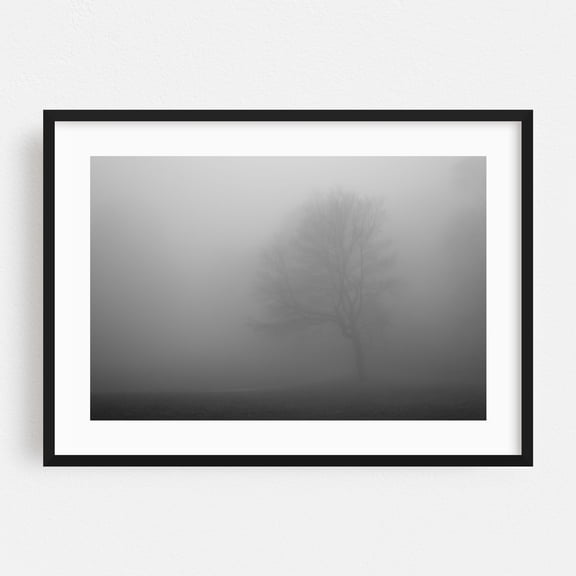 Major Fade - Virginia Photography Black and White Minimalist Nature Abstract Landscape Winter Black Framed Wall Art Print 5 x 7 inches