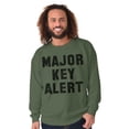 thumbnail image 1 of Major Key Alert Rap Entrepreneur Unisex Plus Fleece Graphic Sweatshirt Brisco Brands 2X, 1 of 5