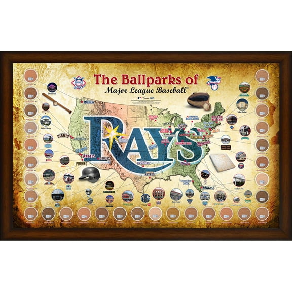 Major League Baseball Parks Framed 20" x 32" Tampa Bay Rays Map Collage with Game-Used Dirt from All 30 Stadiums - Fanatics Authentic Certified