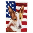 thumbnail image 1 of Carolines Treasures CK6610GF Majorca Ratter American Garden Size outdoor-flags, Multicolor, 1 of 3