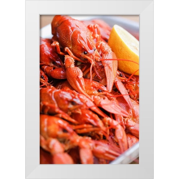 Majority World CIC 11x14 White Modern Wood Framed Museum Art Print Titled - Crayfish close-up