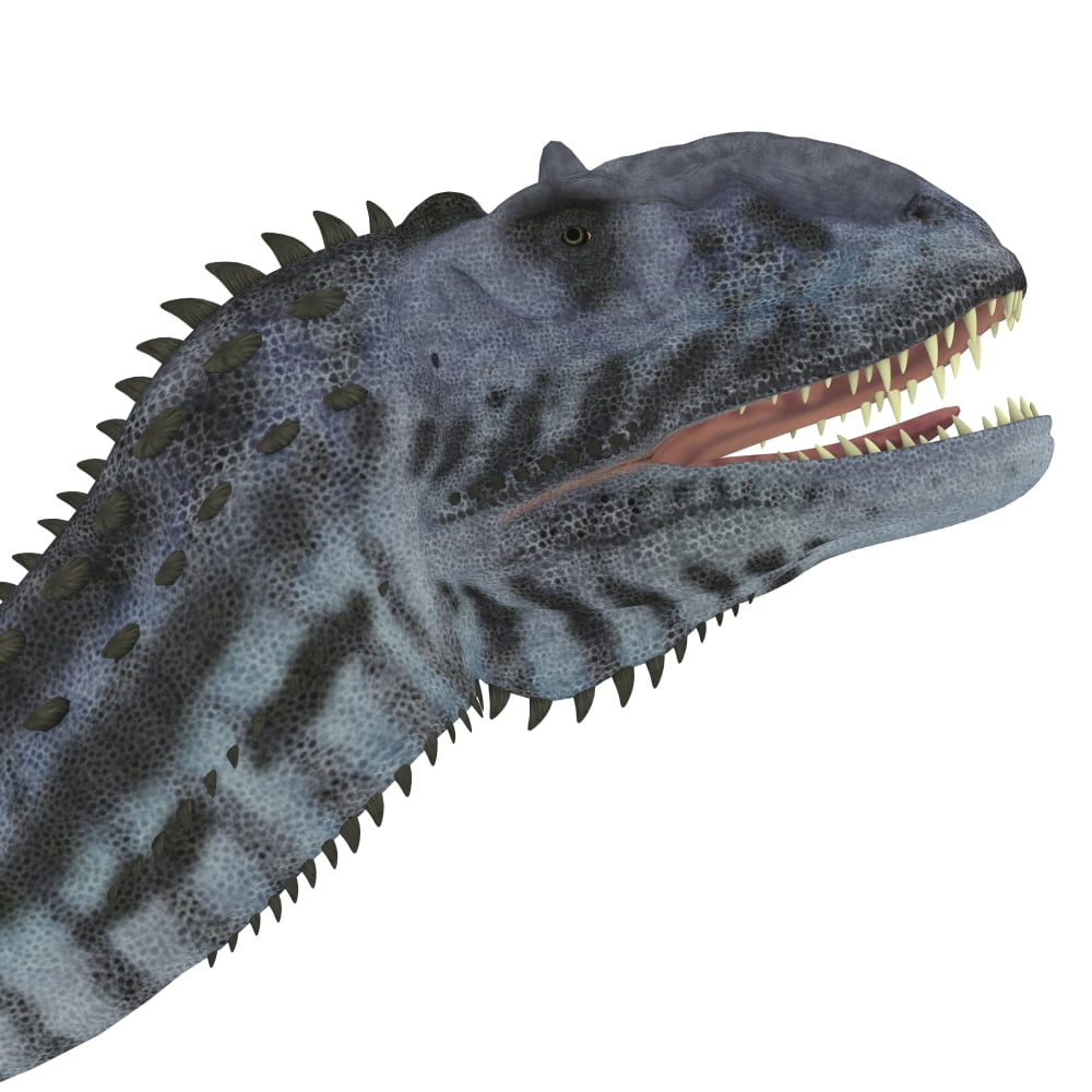 Majungasaurus dinosaur head Canvas Art - Corey FordStocktrek Images (29 x 29)