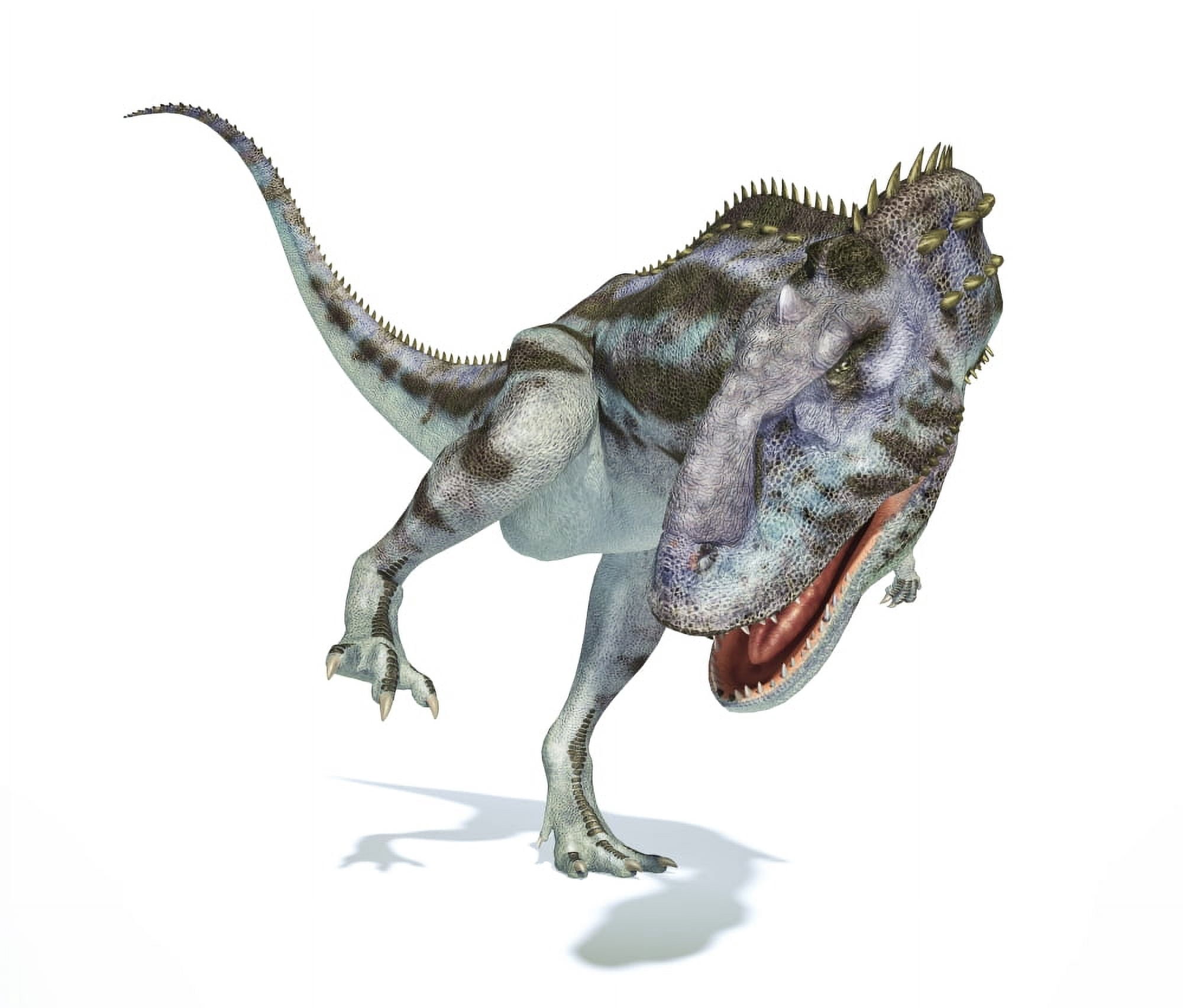 Majungasaurus dinosaur on white background Canvas Art - Leonello CalvettiStocktrek Images (16 x 13)