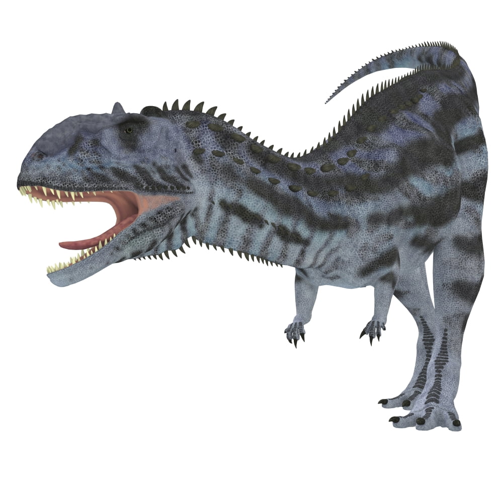 Majungasaurus dinosaur white background Canvas Art - Corey FordStocktrek Images (29 x 29)