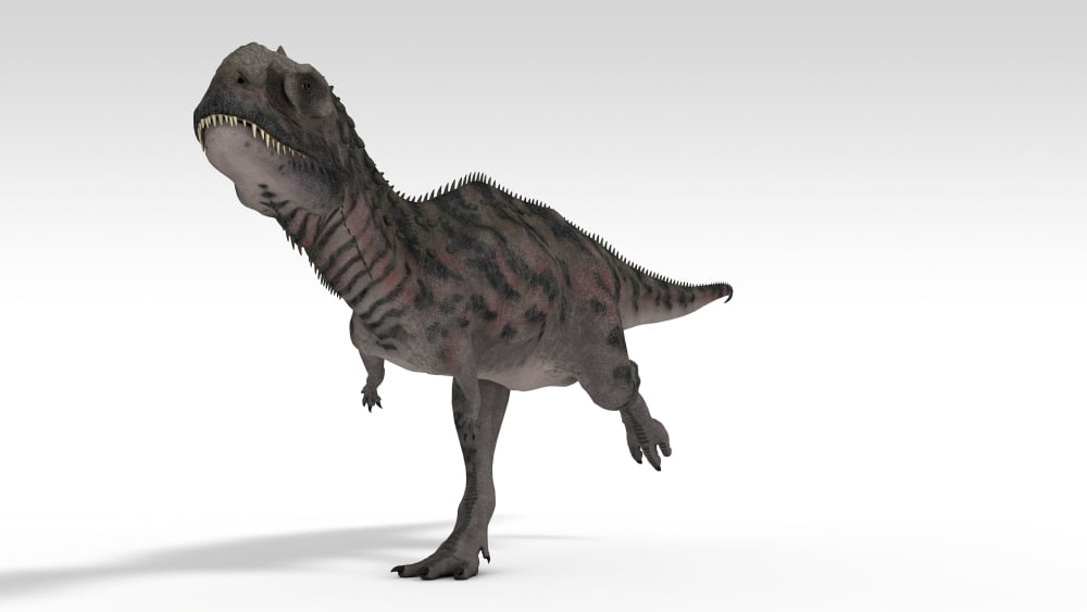 Majungasaurus dinosaur white background Canvas Art - Kostyantyn IvanyshenStocktrek Images (19 x 11)