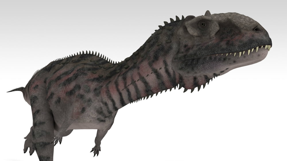 Majungasaurus dinosaur white background Canvas Art - Kostyantyn IvanyshenStocktrek Images (38 x 22)
