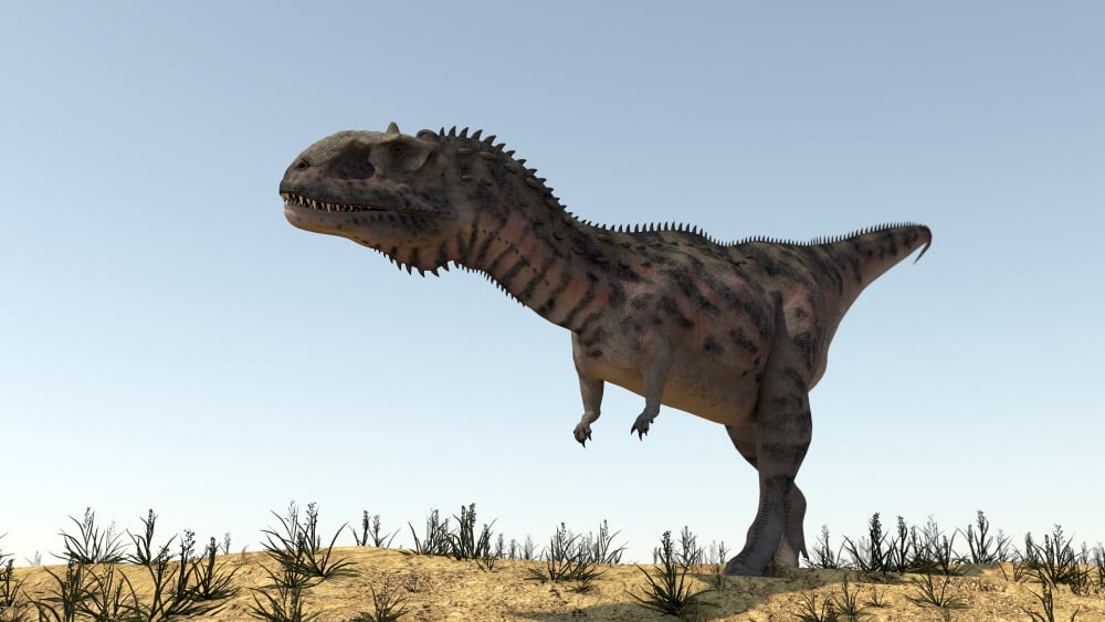 Majungasaurus in a barren environment Canvas Art - Kostyantyn IvanyshenStocktrek Images (37 x 21)
