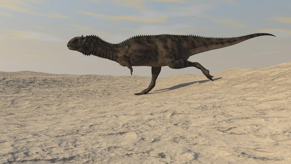 Majungasaurus running across a barren desert Canvas Art - Kostyantyn IvanyshenStocktrek Images (38 x 22)