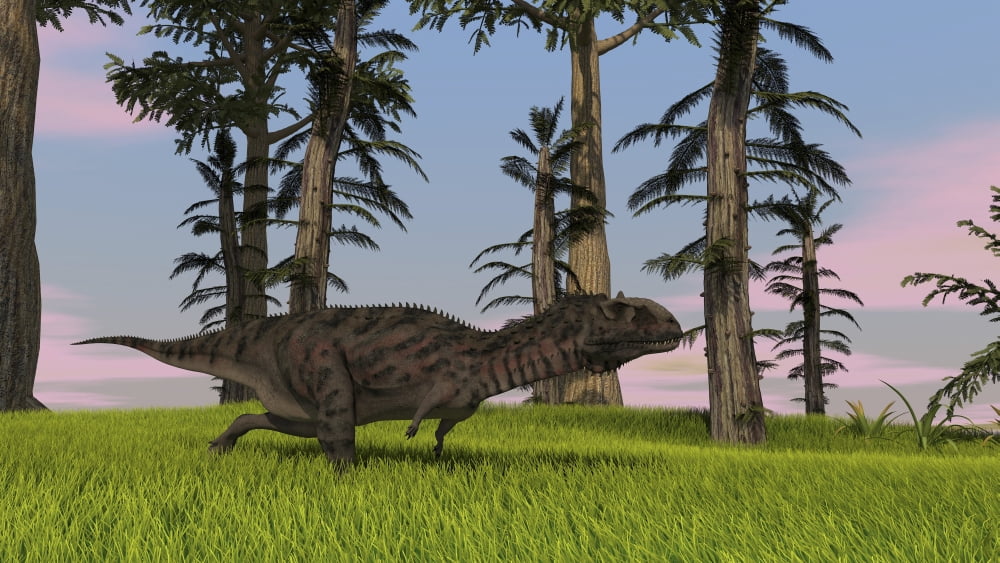 Majungasaurus running across a grassy field Canvas Art - Kostyantyn IvanyshenStocktrek Images (19 x 11)