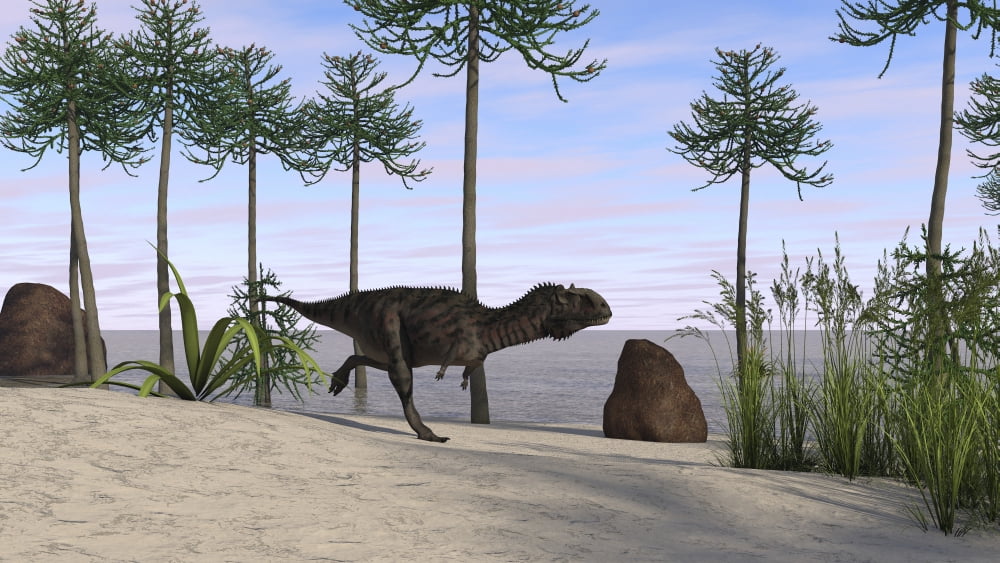 Majungasaurus running along the shore Canvas Art - Kostyantyn IvanyshenStocktrek Images (19 x 11)