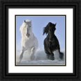 thumbnail image 1 of Makarova  15x15 Black Ornate Wood Framed with Double Matting Museum Art Print Titled - Salt And Pepper (detail), 1 of 4