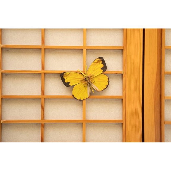 Make Bug  Bring Nature Home Common Grass Yellow Butterfly 3D Puzzle Toys