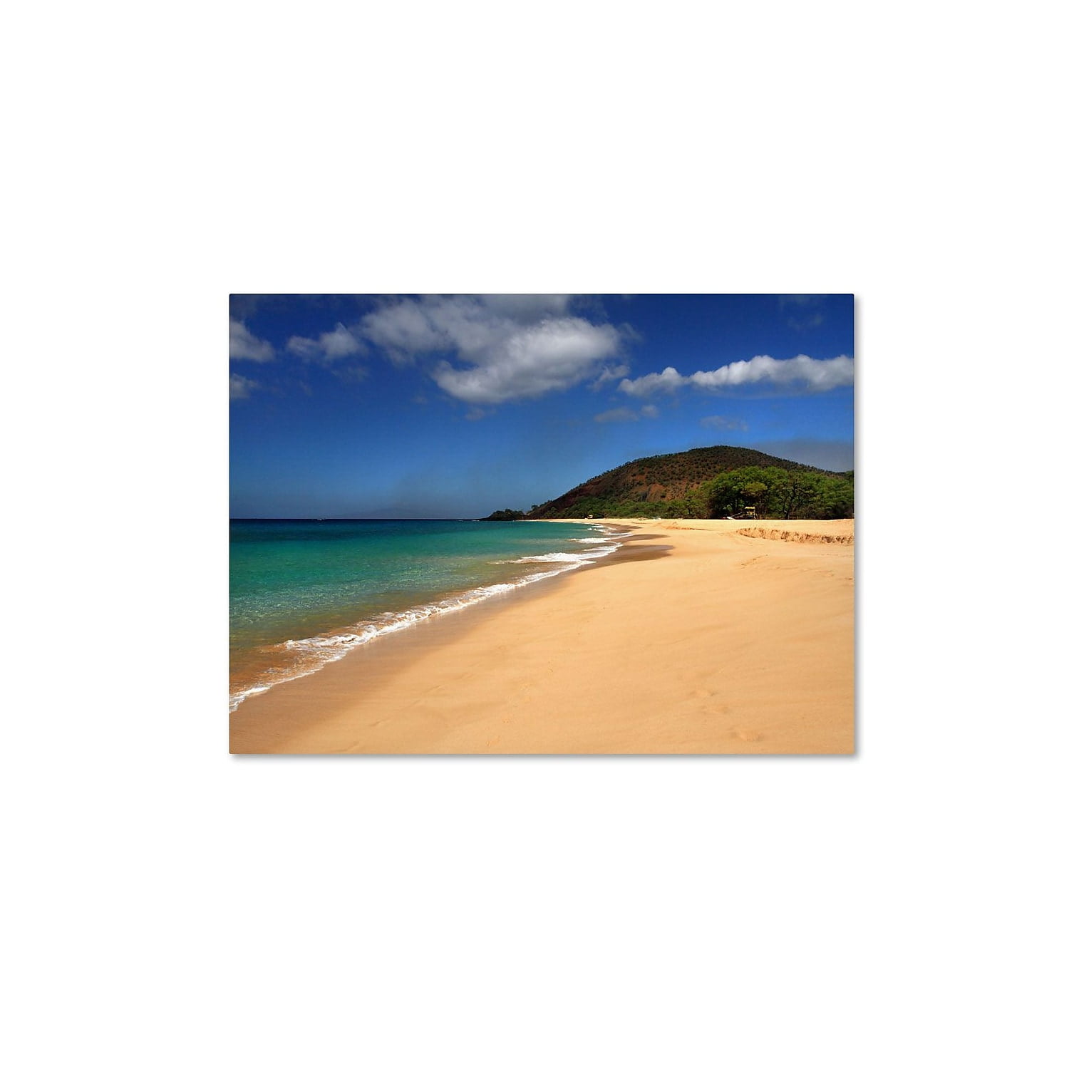 "Makena Hawaii" Canvas Art by Pierre Leclerc