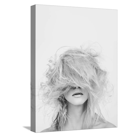 Art.com Makeover Stretched Canvas Print Wall Art by Design Fabrikken, 12" x 16"