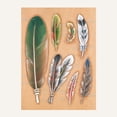 thumbnail image 1 of MakerAid® Feathers Easy Trace Reusable Pattern, 1 of 3