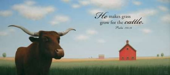Makes Grass Canvas Art - Sharon France (24 x 48)