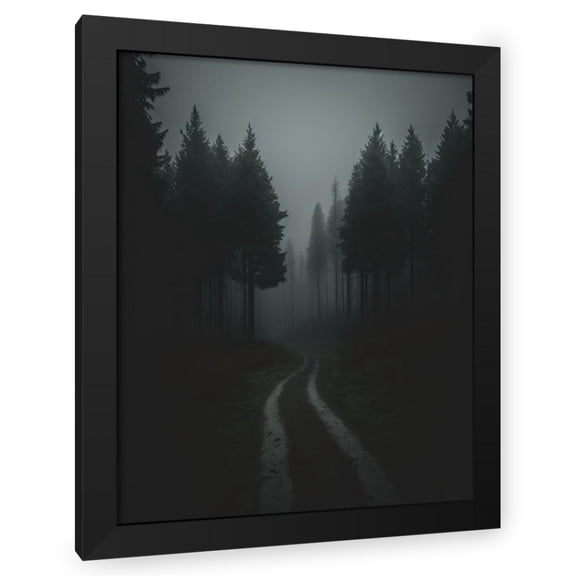 Maki 12x14 Black Modern Wood Framed Wall Art Titled - The Hidden Path
