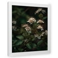thumbnail image 1 of Maki 12x14 White Modern Wood Framed Wall Art Titled - Invasive Weeds Iii, 1 of 6