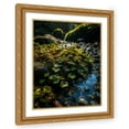 thumbnail image 1 of Maki 15x18 Gold Ornate Wood Framed With Double Matting Wall Art Titled - The Lucky Crop Ii, 1 of 6