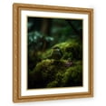 thumbnail image 1 of Maki 26x31 Gold Ornate Wood Framed With Double Matting Wall Art Titled - A Little Friend I, 1 of 6