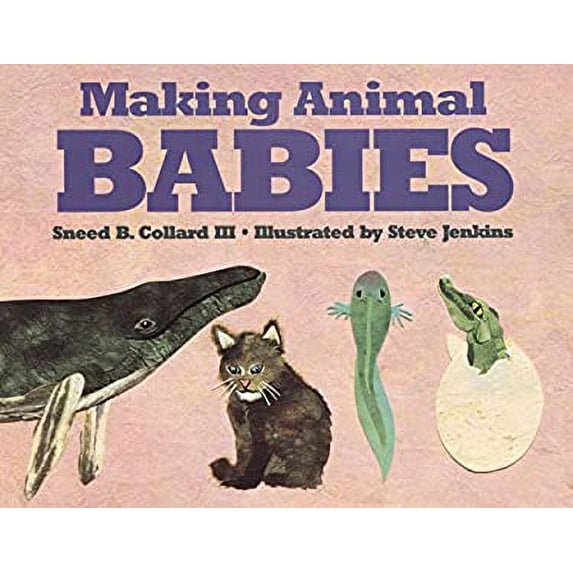 Making Animal Babies (Hardcover) by Sneed B Collard