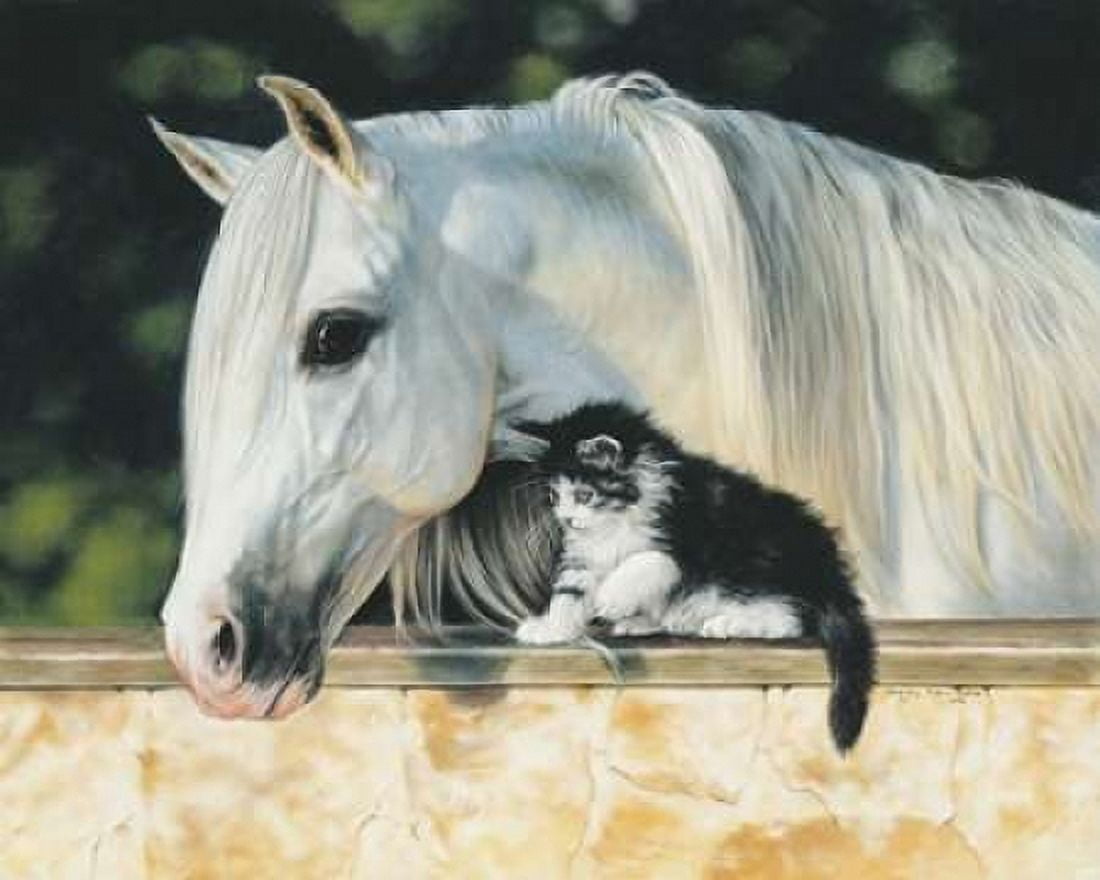 Making Friends Canvas Art - Lesley Harrison (20 x 24)
