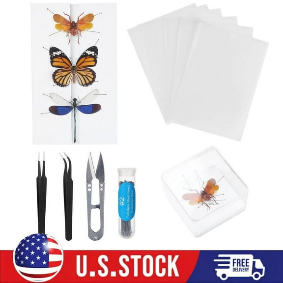 Making Insect Specimen Tools,Insect Collection for Bug Hobbyist/Biology Projects