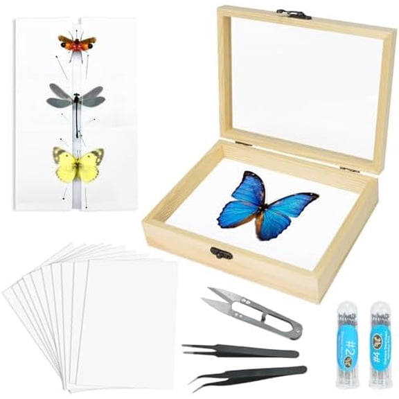 Making Insect Specimen Tools Kit - Insect Pins, Shadow Box, Pinning Board, Wings Pressing Paper, Tweezers, Scissors - Collection Display for Bug Hobbyists/Biology Projects