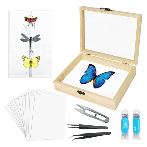 Making Insect Specimen Tools Kit, Insect Specimen Collection Display for Bug Hobbyist/Biology Projects,1set * insect pinning kit