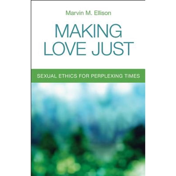 Pre-Owned Making Love Just: Sexual Ethics for Perplexing Times (Paperback) 0800698843 9780800698843