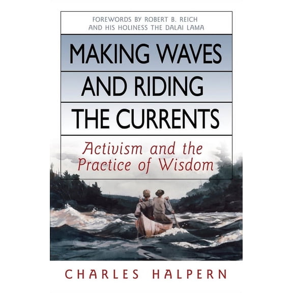 Making Waves and Riding the Currents : Activism and the Practice of Wisdom (Hardcover)