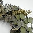 thumbnail image 1 of Maklaine 30" Preserved Decorative Real Eucalyptus Wreath in Green, 1 of 5