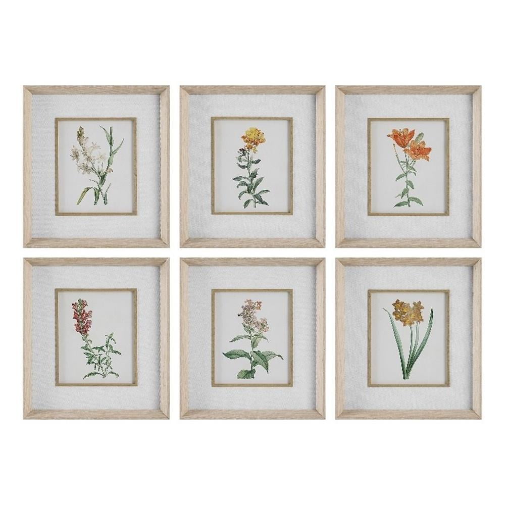 Grace Feyock Multi-Color Botanical Prints with Pine Frames, Set of 6