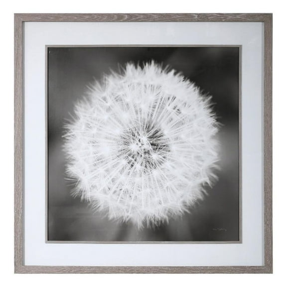 Maklaine Dandelion Seedhead Wood and Glass Framed Print in Black/White