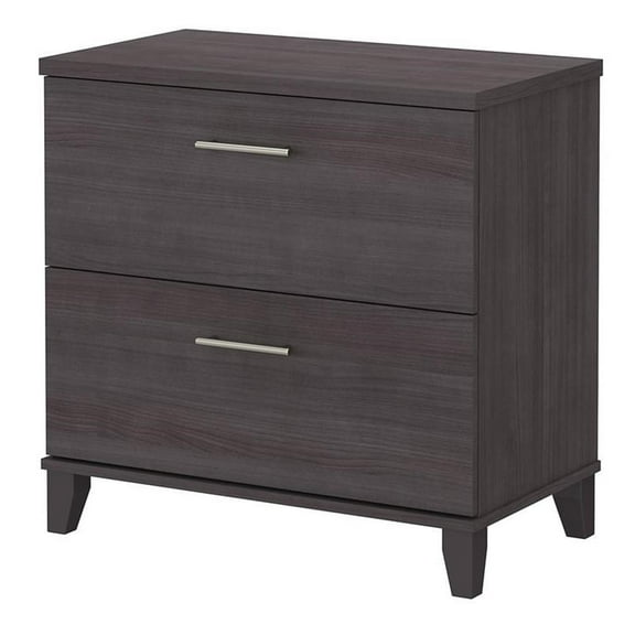 Maklaine Transitional 2 Drawer Lateral File Cabinet in Storm Gray