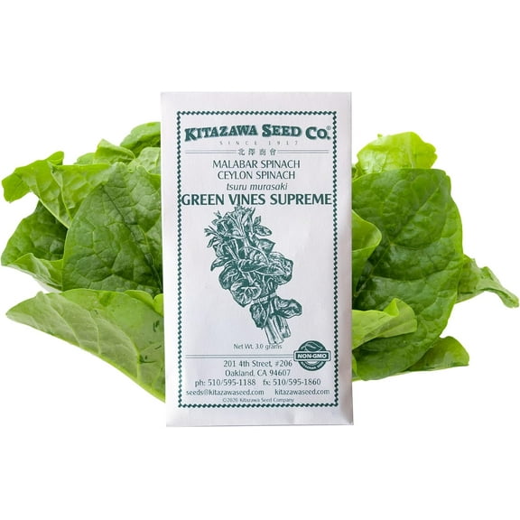 Malabar Spinach Seeds - Green Vines Supreme -3 g Packet ~87 Seeds - Non-GMO, Heirloom - Vegetable Garden