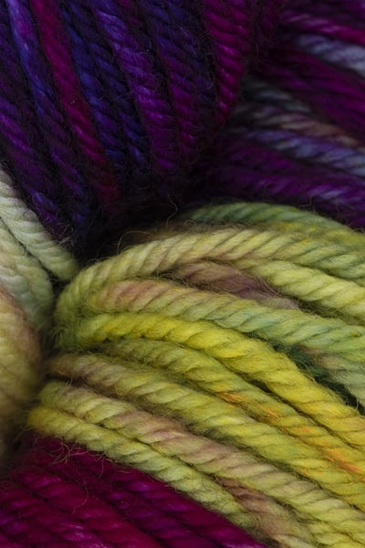 Malabrigo - Arroyo Knitting Yarn - Aniversario (# 005)