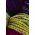 thumbnail image 1 of Malabrigo - Arroyo Knitting Yarn - Aniversario (# 005), 1 of 3