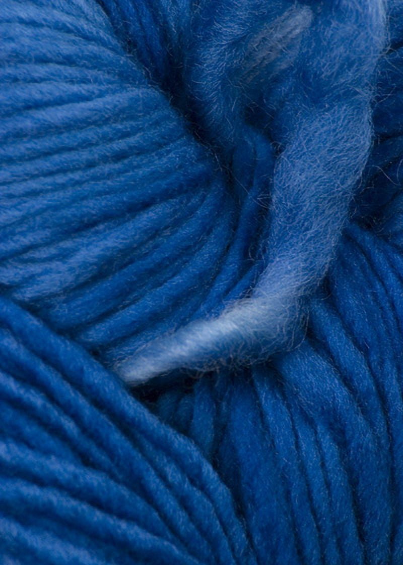 Malabrigo Merino Worsted Yarn - Cactus Flower (021