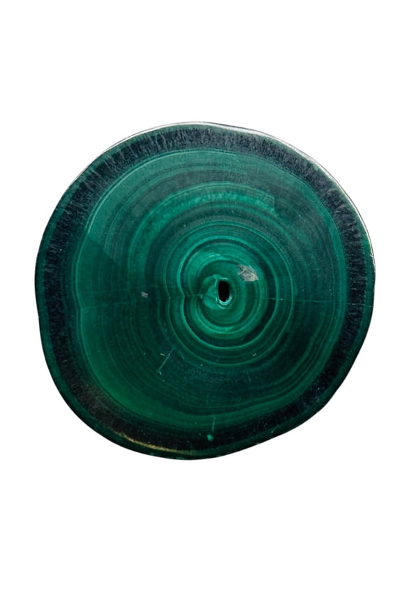 Malachite 31g Polished Round Stalactite Slice | 41x41x7mm | Green | 1 Specimen |