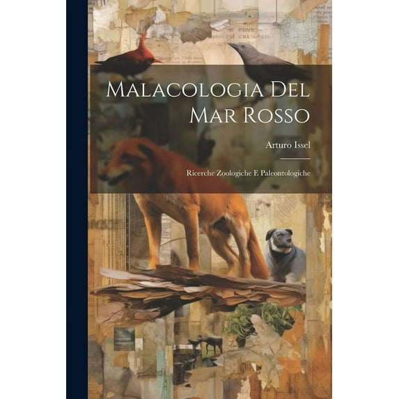 Malacologia Del Mar Rosso: Ricerche Zoologiche E Paleontologiche (Paperback)