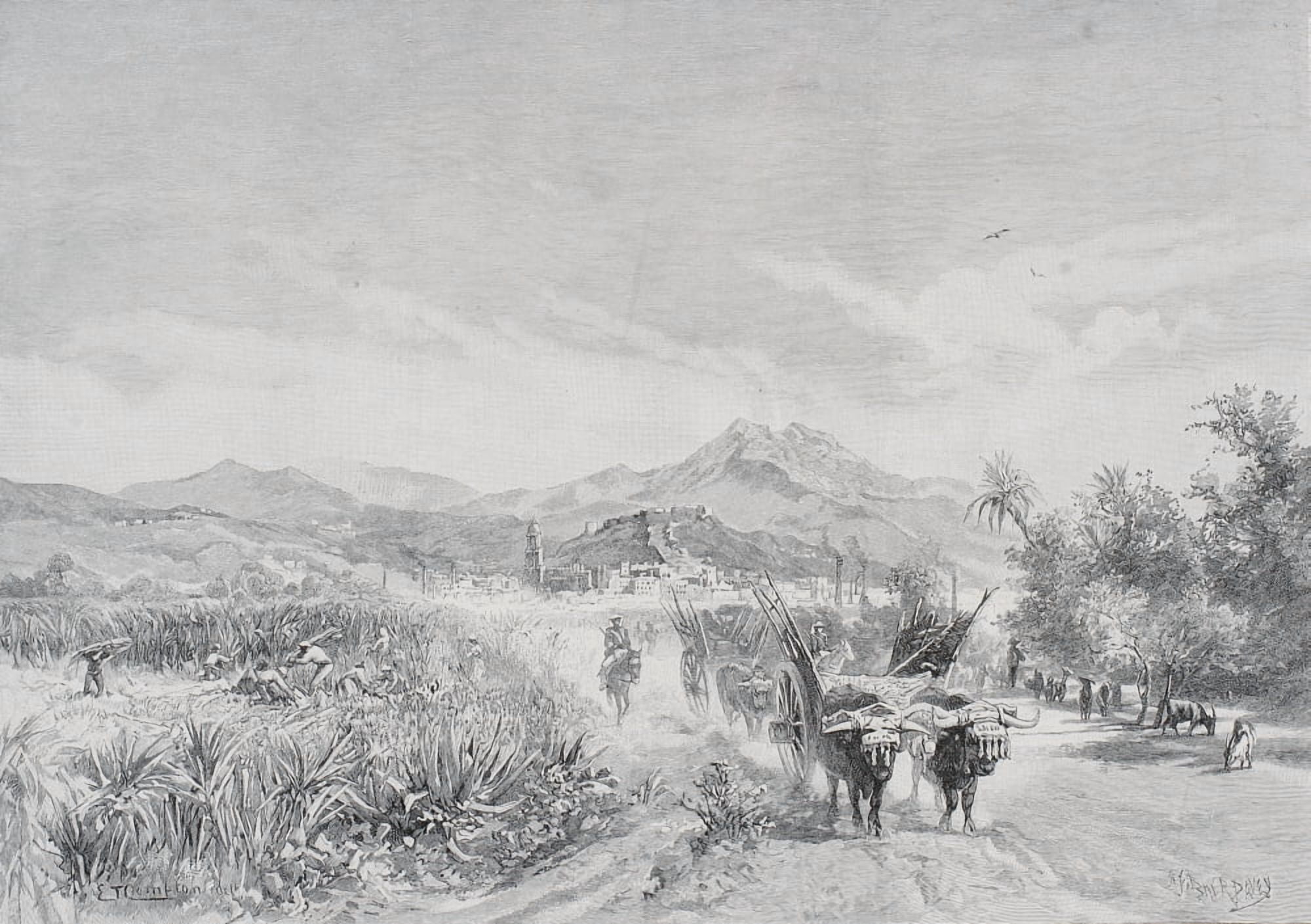 Malaga Spain From The Sugar Fields By Edward T Compton (1849-1921) From The Picturesque Mediterranean Circa 1890 Canvas Art - Ken Welsh Design Pics (34 x 24)