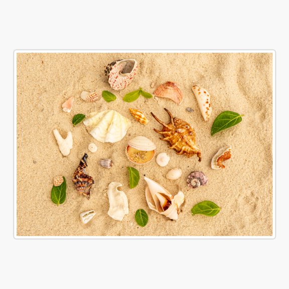 Malapascua Shell Collection Sticker