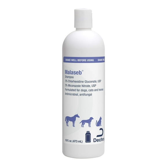 Malaseb Shampoo, 16 oz